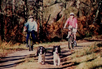 Cycling with the dogs