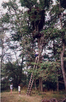 La Palombière”