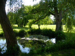 A pond near the farmhouse